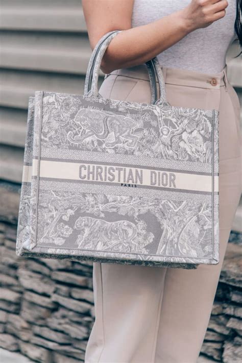 dior book bag dupe.